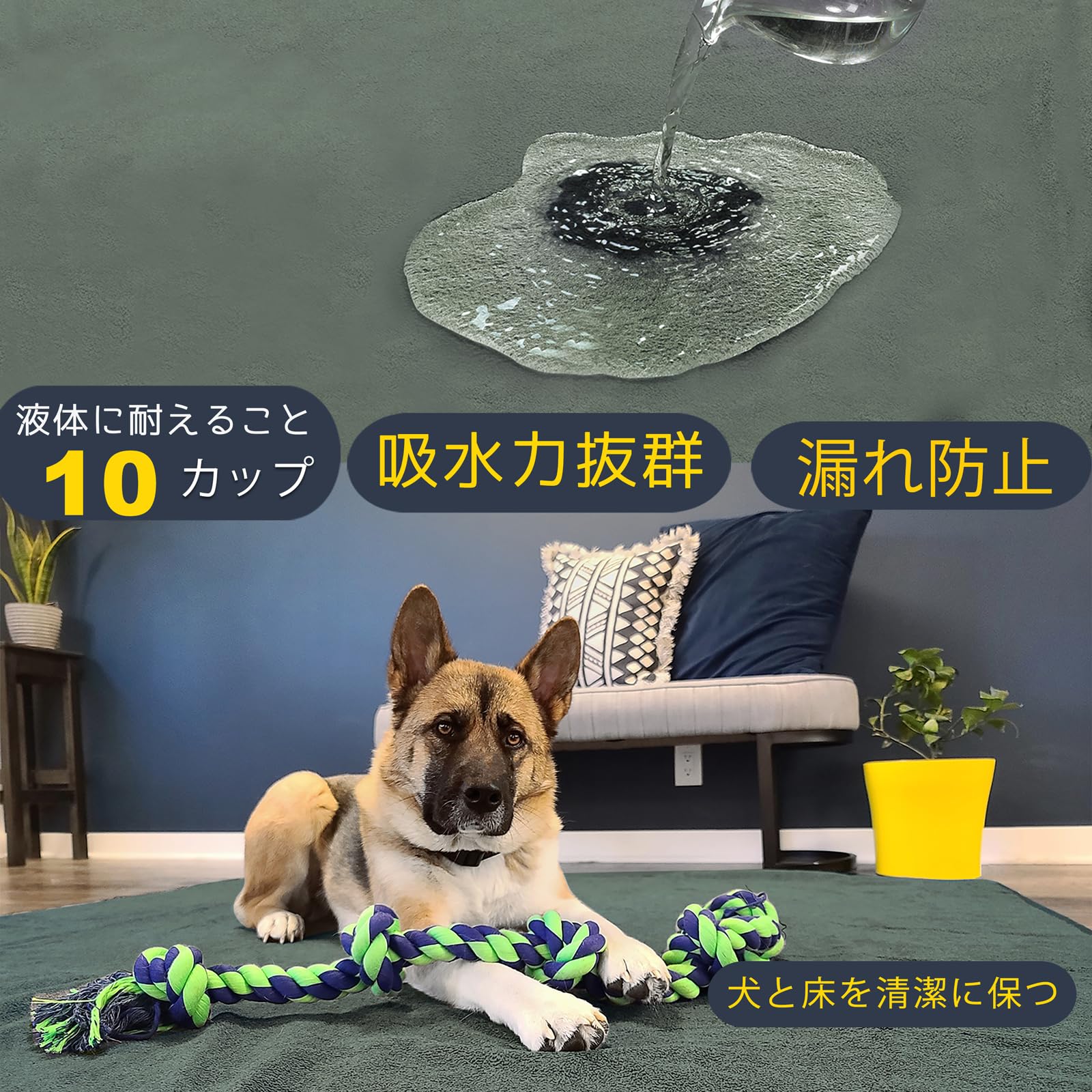 Amazon.co.jp: LOOBANI 洗えるペットシーツ ペットマット ペット
